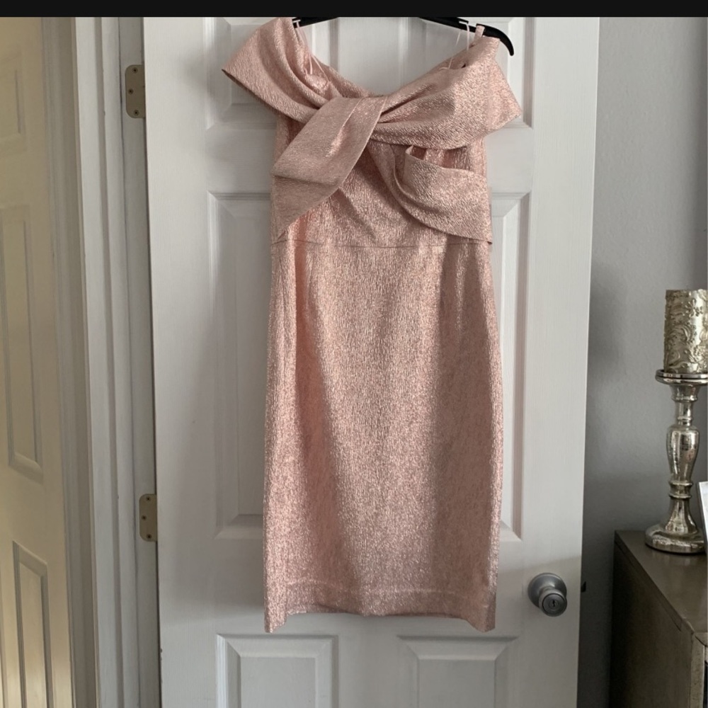 Midi Teri Jon beans new with tags dress